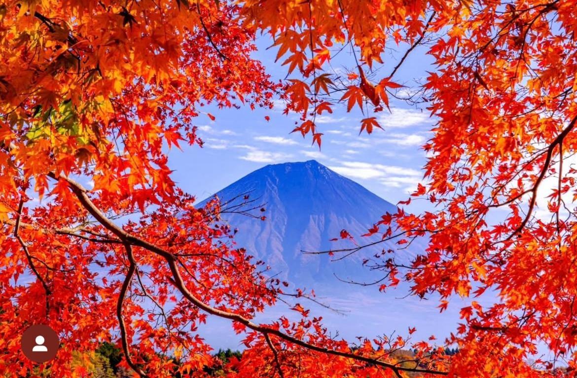 Гостевой дом Eishinan 栄進庵 Фудзи Экстерьер фото